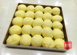 Honey bread recipe 7