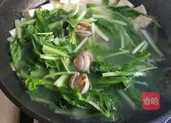 Illustration of how to make cabbage, clams and tofu soup 13
