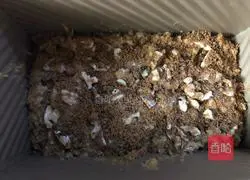 Banana Cake Recipe Illustration 15