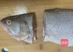 Illustration of steamed seabass 2