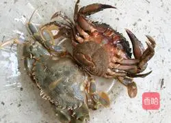 Illustration of how to cook raw tiger crabs 3
