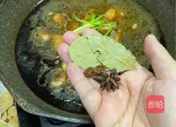 Thick oil red sauce version Illustration of braised pork ribs 10