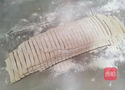 Illustration of hand-rolled noodles 6