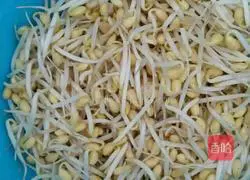 Illustration of home-cooked noodles 3