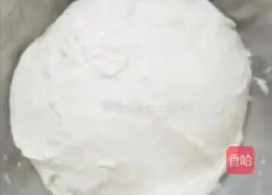 Leek Meat Pie Recipe Illustration 13