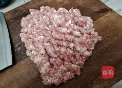 Illustration of how to make pork and leek dumplings 10