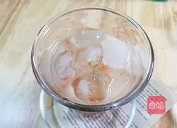  Watermelon Planet Recipe Illustration 5