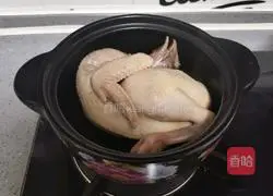 Illustration of Cordyceps Flower Stewed Chicken Soup 4