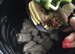 Illustration of braised pork ribs 6