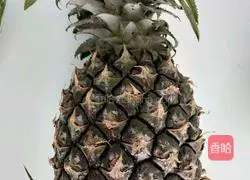 Original juice Illustration of how to make original pineapple juice 1