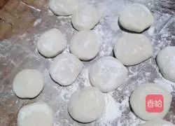 Leek Dumpling Recipe Illustration 7