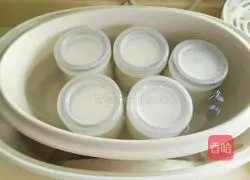 Homemade Mango Illustration of making yogurt 6