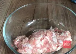 Illustration of how to make shrimp wontons 1