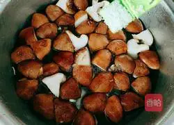 Melon and Mushroom Chicken Soup Illustration 11