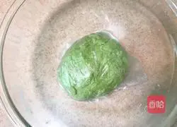 Illustration of how to make mulberry leaf hand-rolled noodles 9
