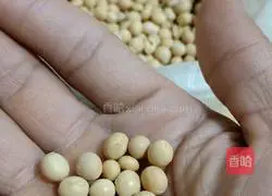 Late Night Illustration of how to make