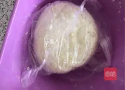 Pork and green onion dumplings? Recipe 1