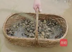 Illustration of how to make spicy snail sauce while going to the fields when summer is here 1