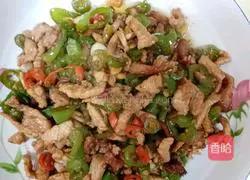 Illustration of home-style shredded pork with green pepper 4