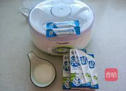 Illustration of how to make probiotic yogurt 1