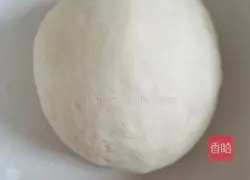 Pork and Pumpkin Fried Dumplings Illustration 5