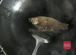 Winter Melon Coix Seeds and Crucian Carp Soup Illustration 4