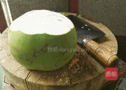 Coconut Mushroom Chicken Soup Recipe Illustration 2