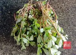 Illustration of how to make purslane egg cake 1