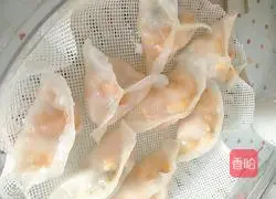 Crystal QQ Dumplings Recipe Illustration 15
