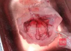 Illustration of how to make Guiqi Zihe car (placenta) 1