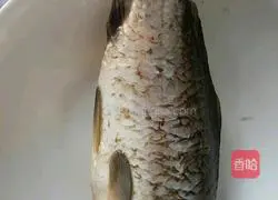  Wild carp tofu soup recipe 1