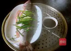 Illustration of steamed sea bass 6