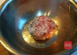 Xinwen Gourmet Style Steamed Dumplings Illustration 2