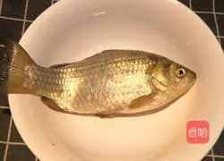 Illustration of how to make crucian carp tofu soup 3