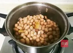 Illustration of how to make soy sauce, star anise and peanut kernels 10