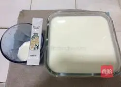 Mango Illustration of making yogurt 3