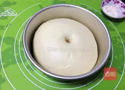 Milk Blueberry Meal Pack Recipe Illustration 8