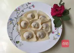 Illustration of how to make fresh meat wontons 10
