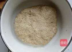 Illustration of how to make red date steamed buns 6