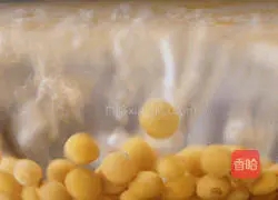 New Zealand Soybean and Winter Melon Pork Ribs Soup Illustration 2