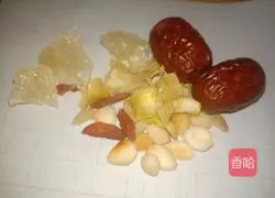 Illustration of Sydney Medicinal Diet 1