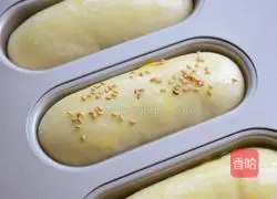 Hot dog buns recipe 8