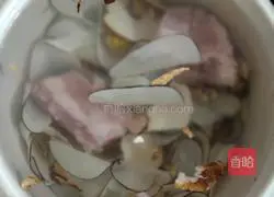 Tiger Lactobacillus, Dendrobium and Sea Coconut Spare Ribs Soup Illustration 3