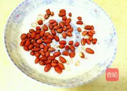 Illustration of Sichuan style cold noodles 2