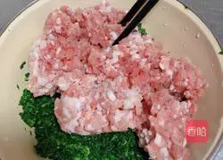 Shepherd's Purse Pork Dumplings - Dragon Fruit Noodles Illustration 1