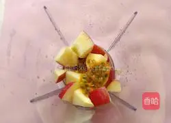 Passion Apple Juice Recipe 9