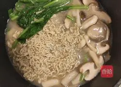 Mushroom Vegetable Chicken Noodle Soup Illustration 5