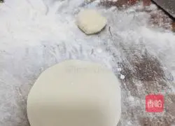 Illustration of how to make pork and leek dumplings 18