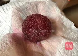 Illustration of how to make candied bayberry 2