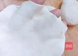 Illustration of how to make siomai 8